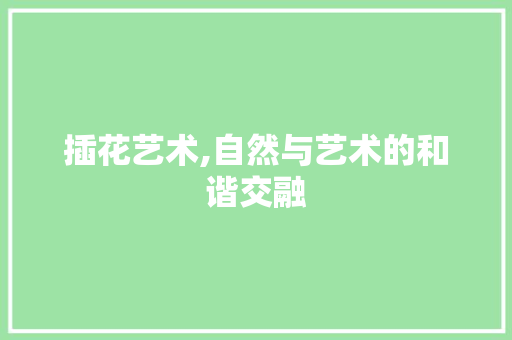 插花艺术,自然与艺术的和谐交融