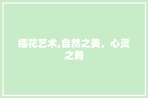 插花艺术,自然之美，心灵之舞