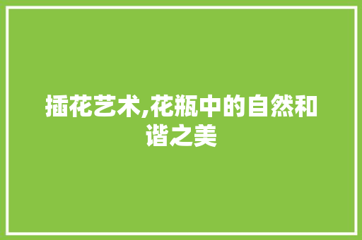 插花艺术,花瓶中的自然和谐之美