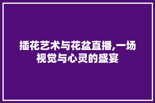 插花艺术与花盆直播,一场视觉与心灵的盛宴
