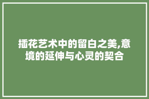 插花艺术中的留白之美,意境的延伸与心灵的契合
