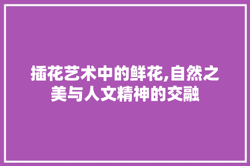 插花艺术中的鲜花,自然之美与人文精神的交融