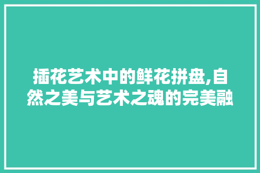插花艺术中的鲜花拼盘,自然之美与艺术之魂的完美融合