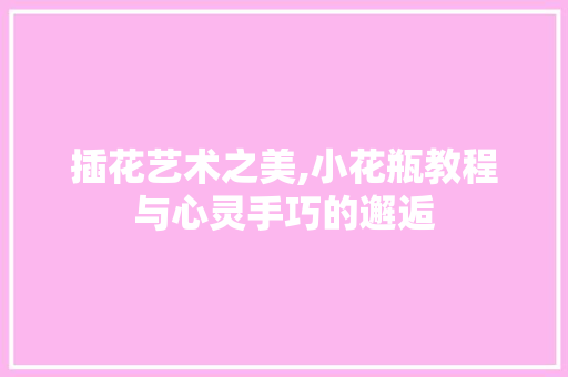 插花艺术之美,小花瓶教程与心灵手巧的邂逅