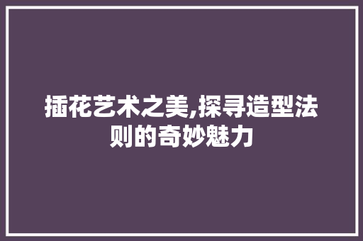 插花艺术之美,探寻造型法则的奇妙魅力