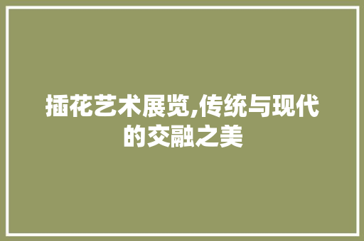 插花艺术展览,传统与现代的交融之美