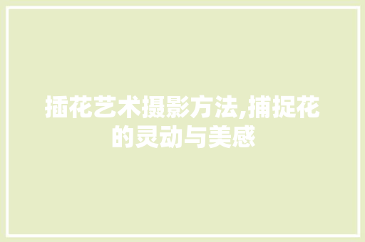 插花艺术摄影方法,捕捉花的灵动与美感