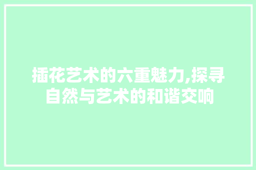 插花艺术的六重魅力,探寻自然与艺术的和谐交响