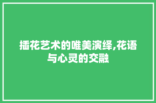 插花艺术的唯美演绎,花语与心灵的交融 植物种类