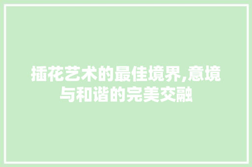 插花艺术的最佳境界,意境与和谐的完美交融