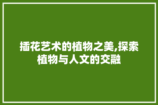插花艺术的植物之美,探索植物与人文的交融 土壤施肥