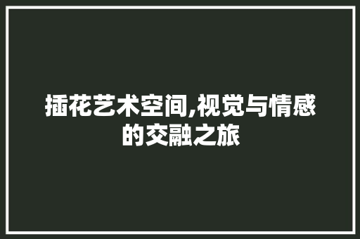 插花艺术空间,视觉与情感的交融之旅 花朵知识