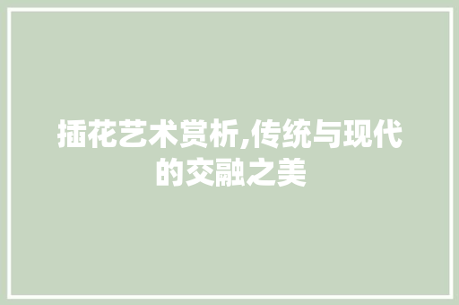 插花艺术赏析,传统与现代的交融之美 番茄种植技巧