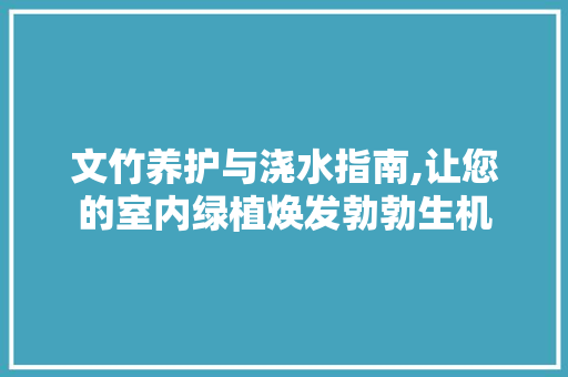 文竹养护与浇水指南,让您的室内绿植焕发勃勃生机