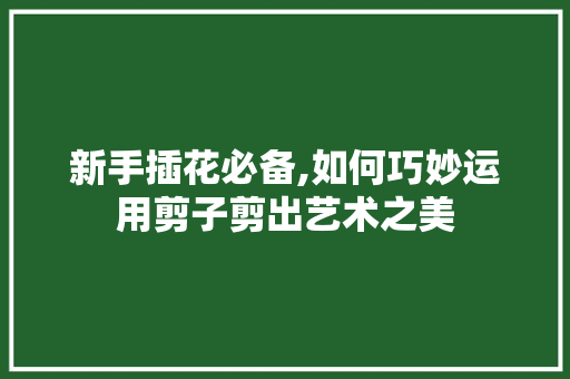 新手插花必备,如何巧妙运用剪子剪出艺术之美
