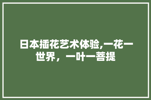 日本插花艺术体验,一花一世界，一叶一菩提