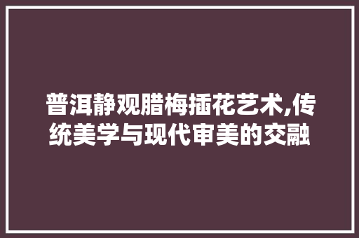 普洱静观腊梅插花艺术,传统美学与现代审美的交融
