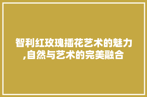 智利红玫瑰插花艺术的魅力,自然与艺术的完美融合