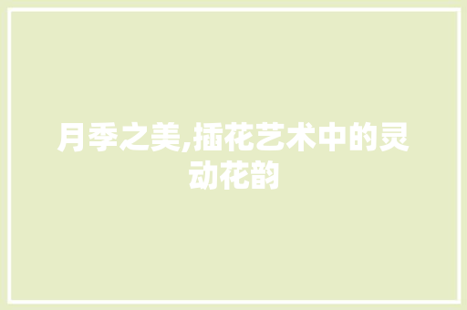 月季之美,插花艺术中的灵动花韵
