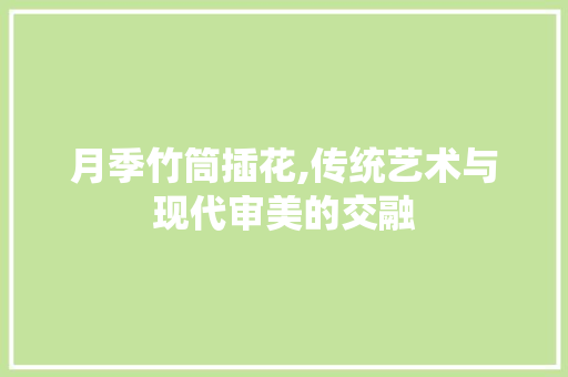 月季竹筒插花,传统艺术与现代审美的交融