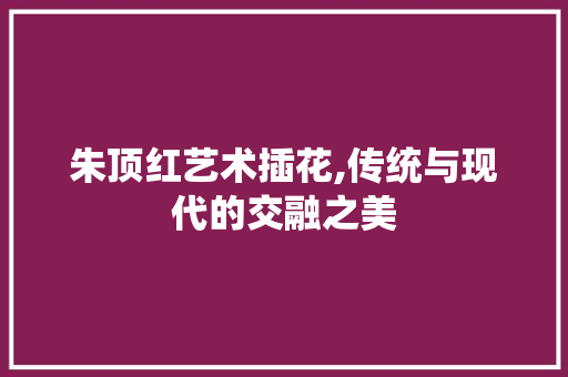 朱顶红艺术插花,传统与现代的交融之美 种植技巧