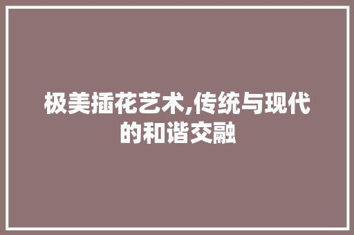 极美插花艺术,传统与现代的和谐交融 植物种类