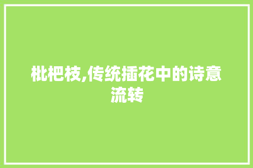 枇杷枝,传统插花中的诗意流转 番茄种植技巧