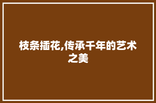 枝条插花,传承千年的艺术之美