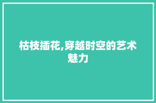 枯枝插花,穿越时空的艺术魅力 花朵知识