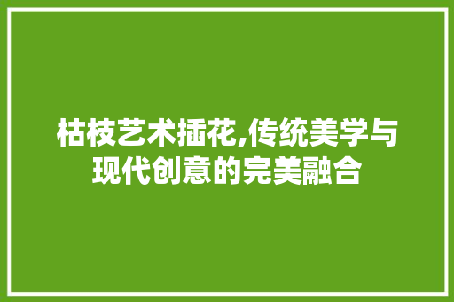枯枝艺术插花,传统美学与现代创意的完美融合 种植技巧