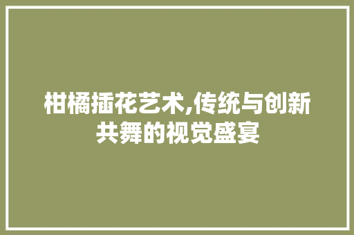 柑橘插花艺术,传统与创新共舞的视觉盛宴 种植技巧