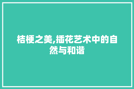桔梗之美,插花艺术中的自然与和谐 农业常识