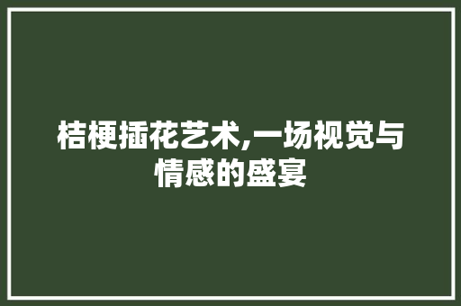 桔梗插花艺术,一场视觉与情感的盛宴