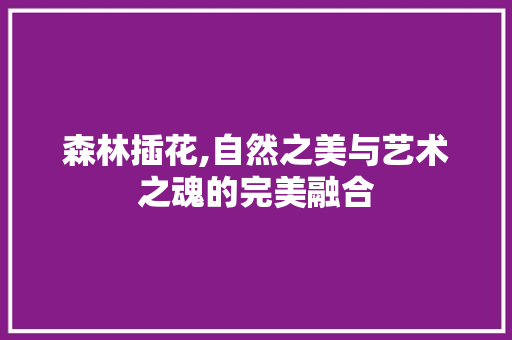森林插花,自然之美与艺术之魂的完美融合