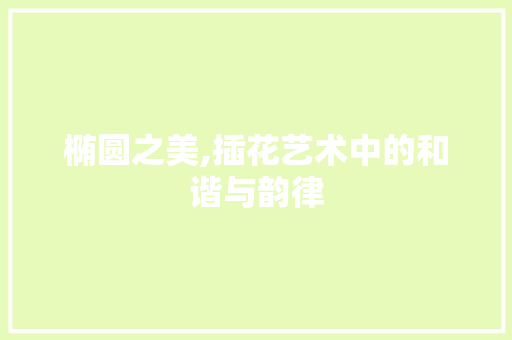 椭圆之美,插花艺术中的和谐与韵律 种植技巧