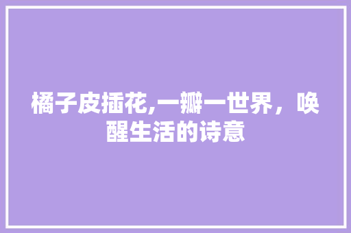 橘子皮插花,一瓣一世界，唤醒生活的诗意