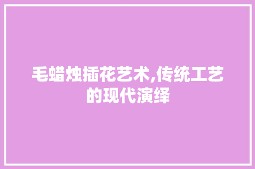 毛蜡烛插花艺术,传统工艺的现代演绎 番茄种植技巧