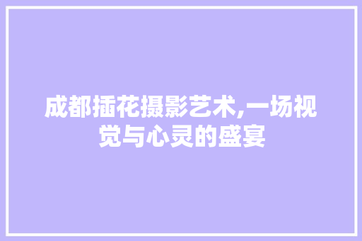 成都插花摄影艺术,一场视觉与心灵的盛宴