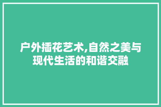 户外插花艺术,自然之美与现代生活的和谐交融