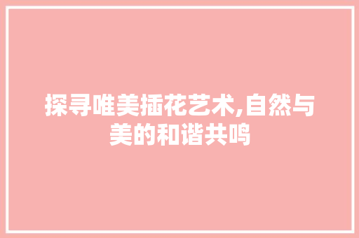 探寻唯美插花艺术,自然与美的和谐共鸣