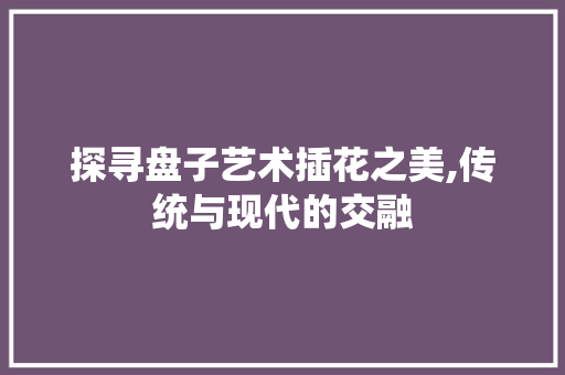 探寻盘子艺术插花之美,传统与现代的交融 农业常识