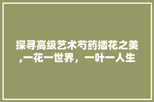 探寻高级艺术芍药插花之美,一花一世界，一叶一人生