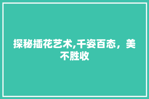 探秘插花艺术,千姿百态，美不胜收
