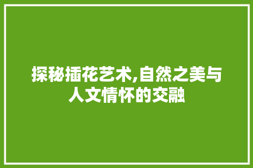探秘插花艺术,自然之美与人文情怀的交融