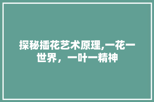 探秘插花艺术原理,一花一世界，一叶一精神