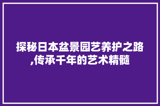 探秘日本盆景园艺养护之路,传承千年的艺术精髓
