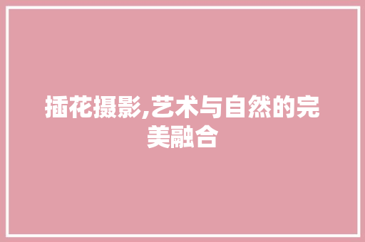 插花摄影,艺术与自然的完美融合