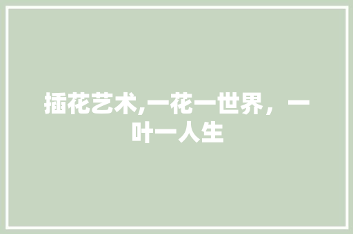 插花艺术,一花一世界,一叶一人生 插花艺术,一花一世界,一叶一人生