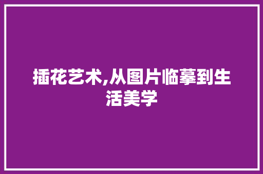 插花艺术,从图片临摹到生活美学 土壤施肥
