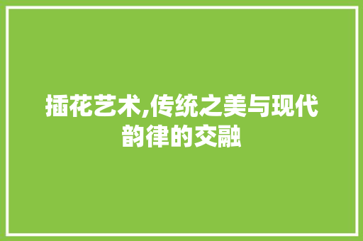 插花艺术,传统之美与现代韵律的交融